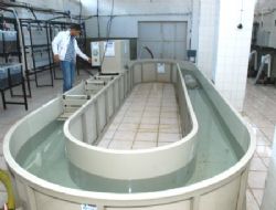 Su Ürünlerinde performans açılımı